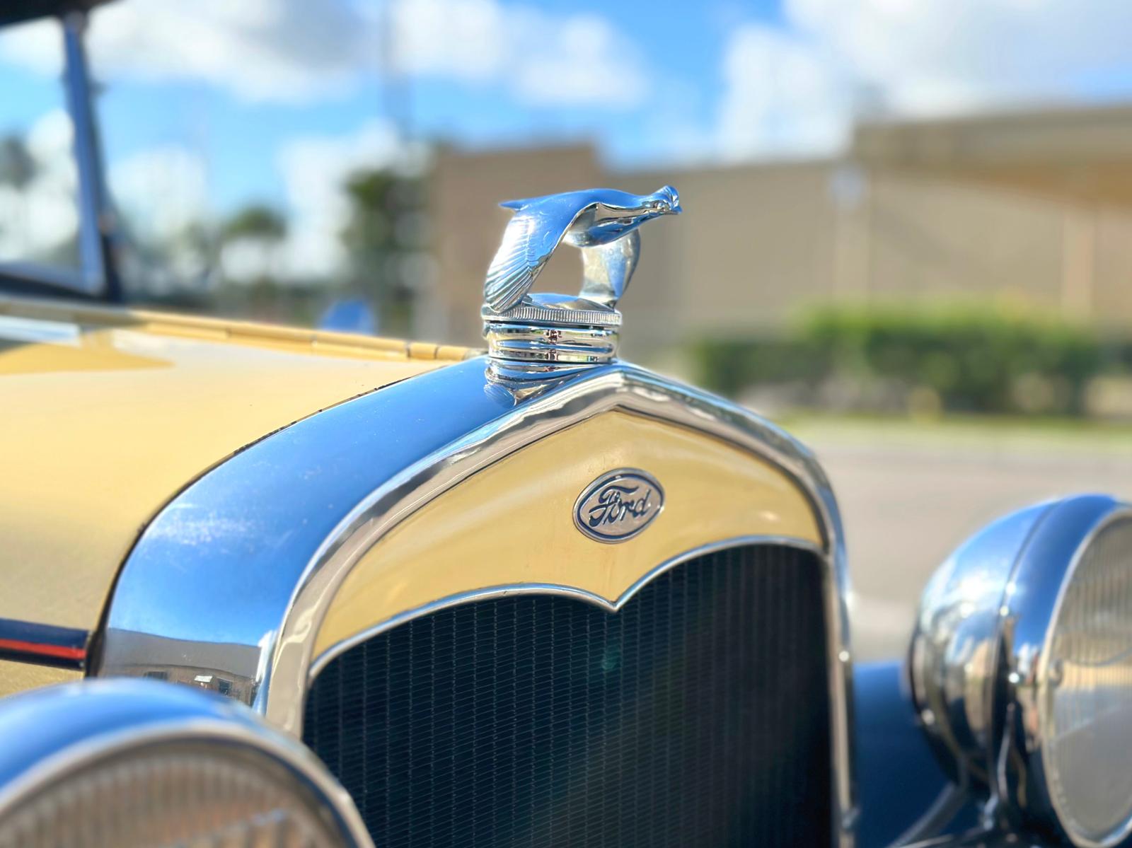 WhatsApp Image 2025-08-13 at 22.31.40_8c1a02d4